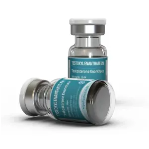 Testoxyl Enanthate 250